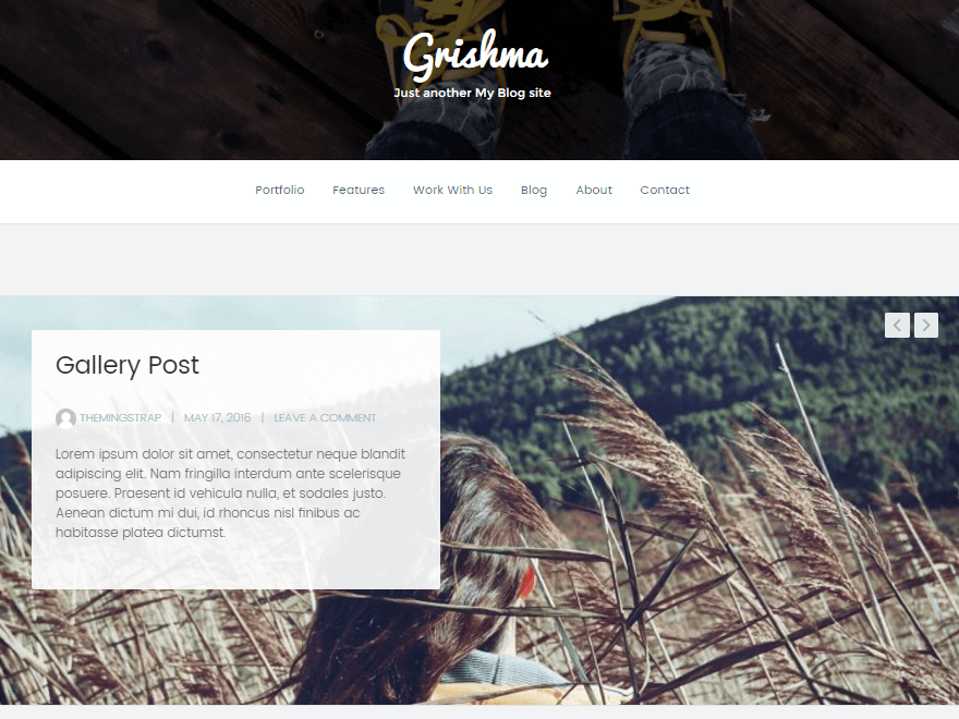 11+ migliori temi WordPress gratuiti luglio 2016 grishma