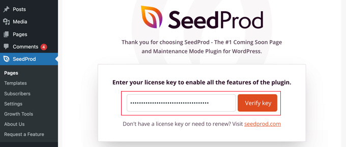 kunci verifikasi facebookads Enter Your SeedProd License Key