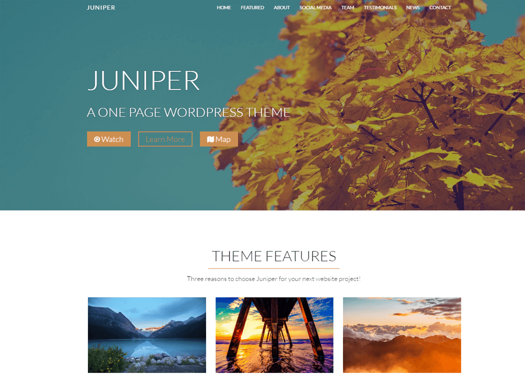 21+ I migliori temi e modelli WordPress gratuiti per una pagina del 2022 Juniper - WordPress One page Theme