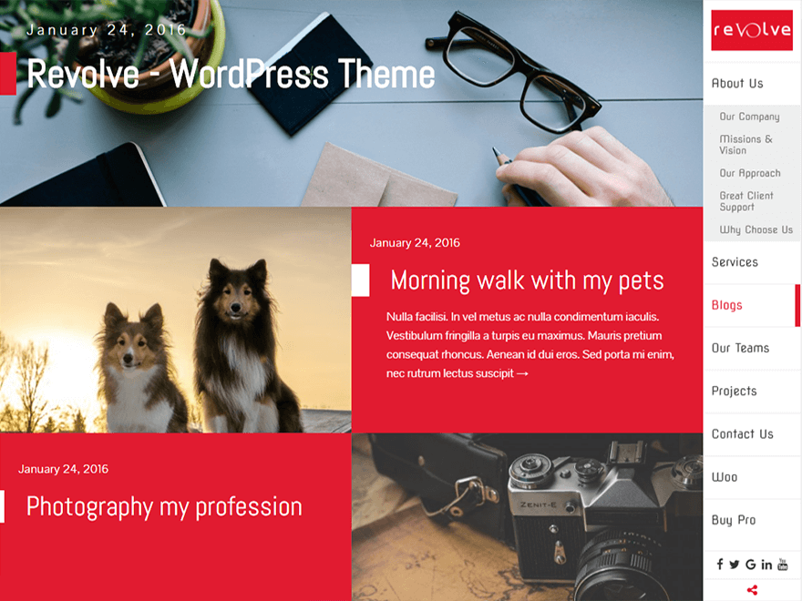 11+ I migliori temi WordPress reattivi gratuiti revolve