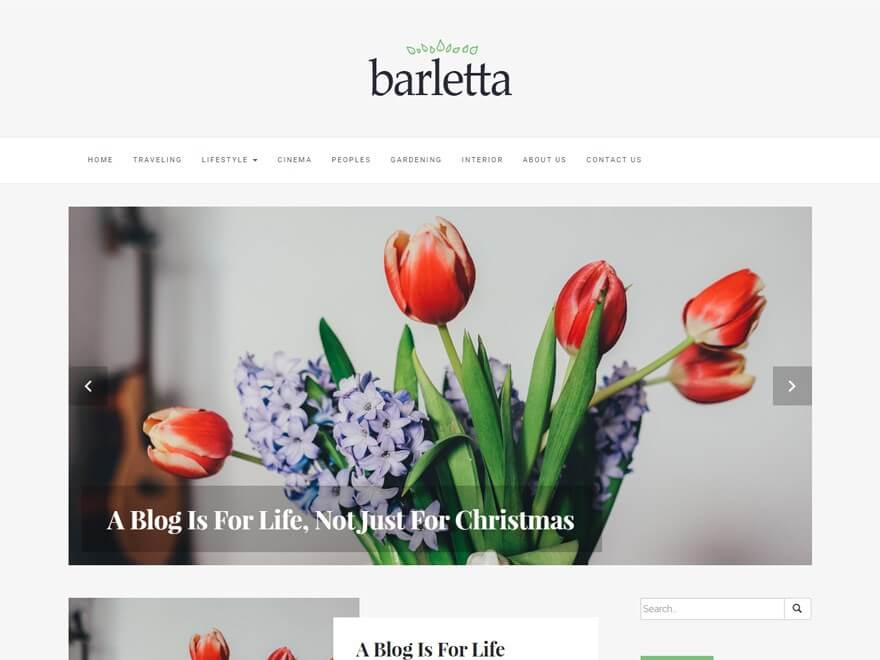 11+ I migliori temi WordPress reattivi gratuiti Bartella