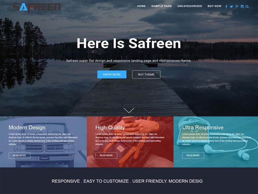 11+ I migliori temi WordPress reattivi gratuiti Safreen