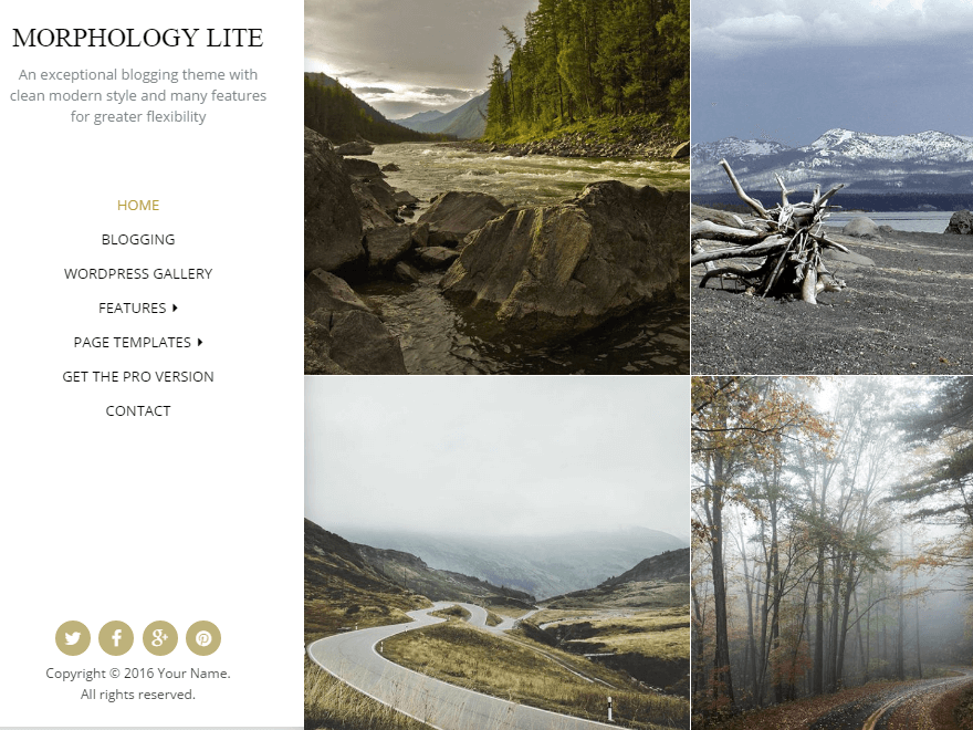 11+ I migliori temi WordPress reattivi gratuiti Morphology-Lite