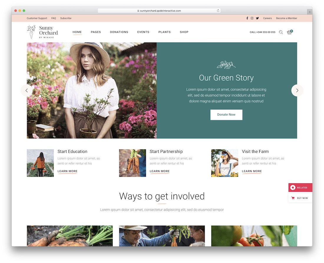 Sunnyorchard 美化 wordpress 主题