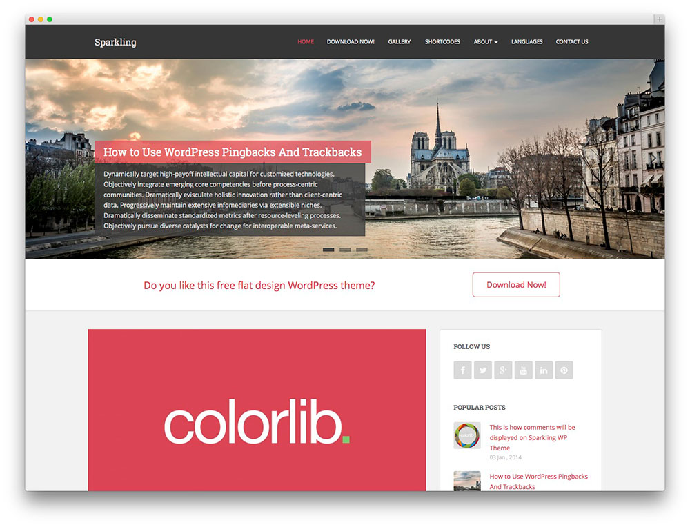 Sparkling- Das beste WordPress-Theme