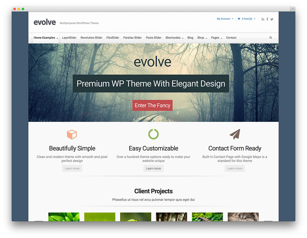 evelo Unternehmens-WordPress-Themen