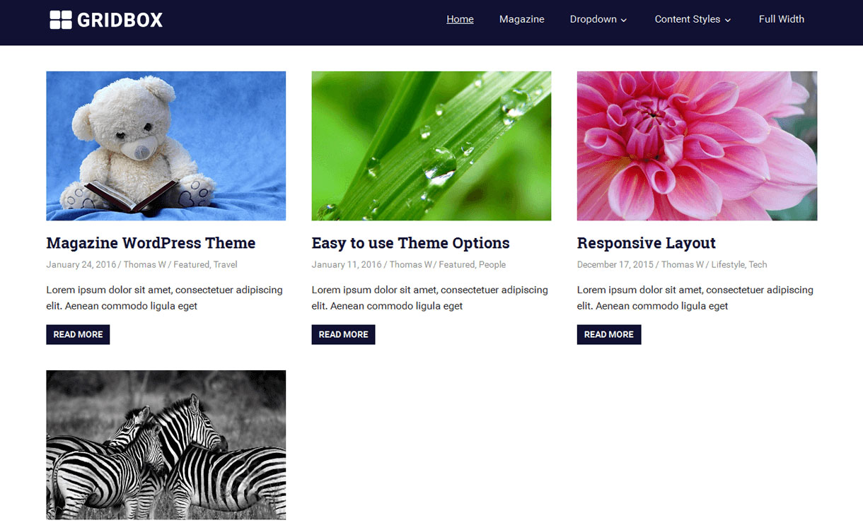 11+ I migliori temi WordPress reattivi gratuiti di ottobre 2016 gridbox-best-free-WordPress-theme-October-2016