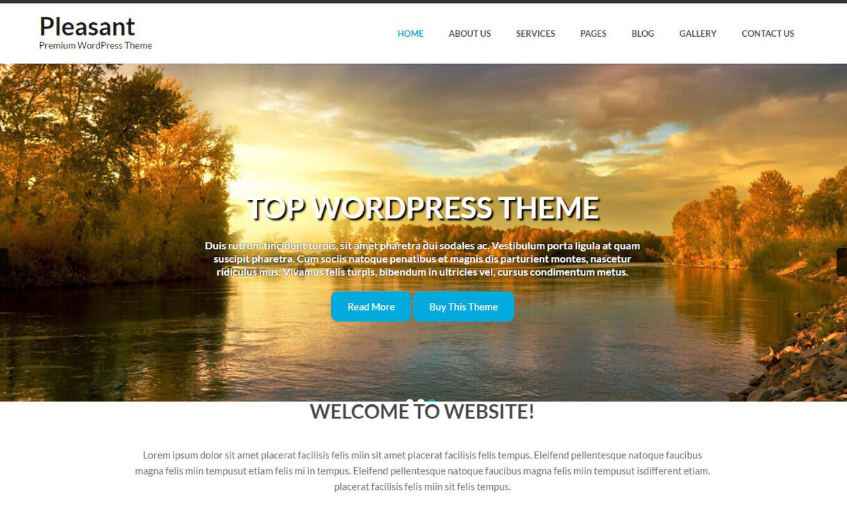 11+ I migliori temi WordPress reattivi gratuiti di novembre 2016 Pleasant Lite Best free WordPress Theme November 2016