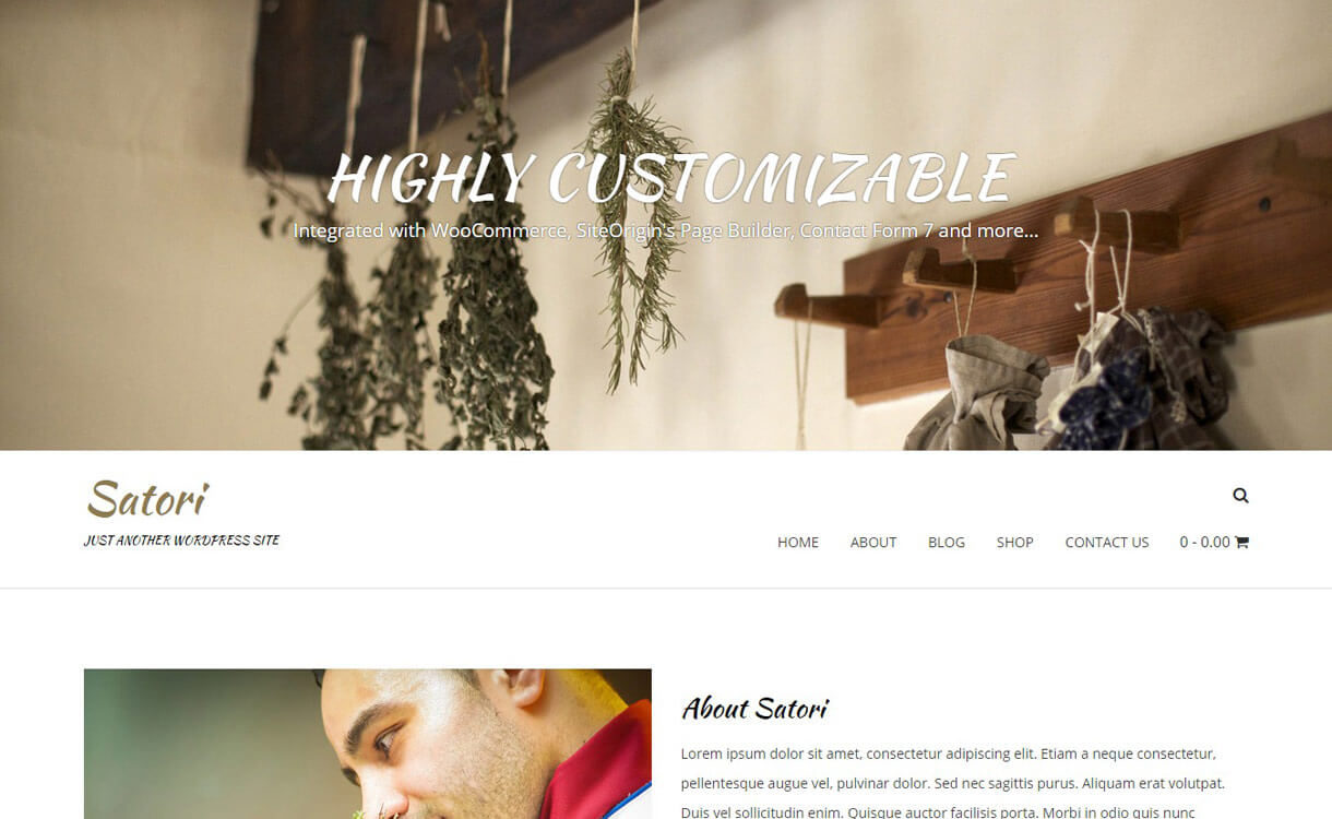 11+ I migliori temi WordPress reattivi gratuiti di novembre 2016 Satori Best free WordPress Theme November 2016