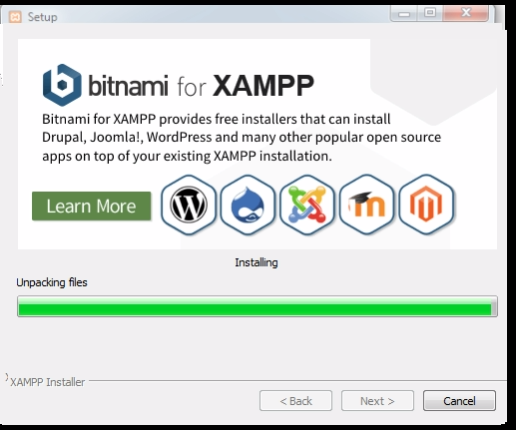 Come installare WordPress sul tuo computer Windows xampp-installed