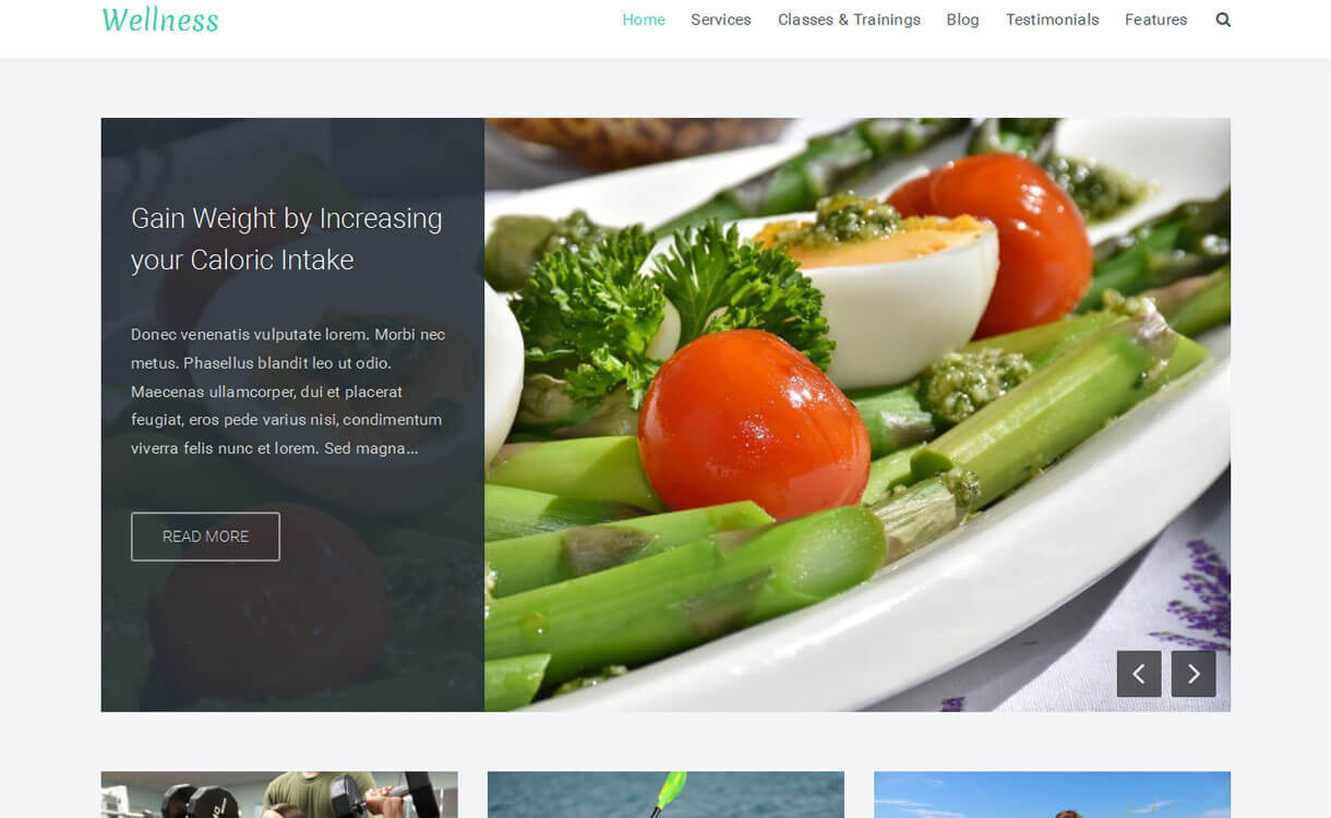 11+ I migliori temi WordPress reattivi gratuiti di dicembre 2016 wellness-Best free-WordPress-Theme-December-2018