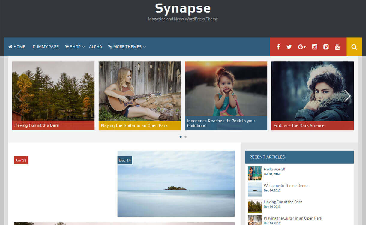 11+ I migliori temi WordPress reattivi gratuiti di dicembre 2016 synapse-best free-WordPress-Theme-December-2018