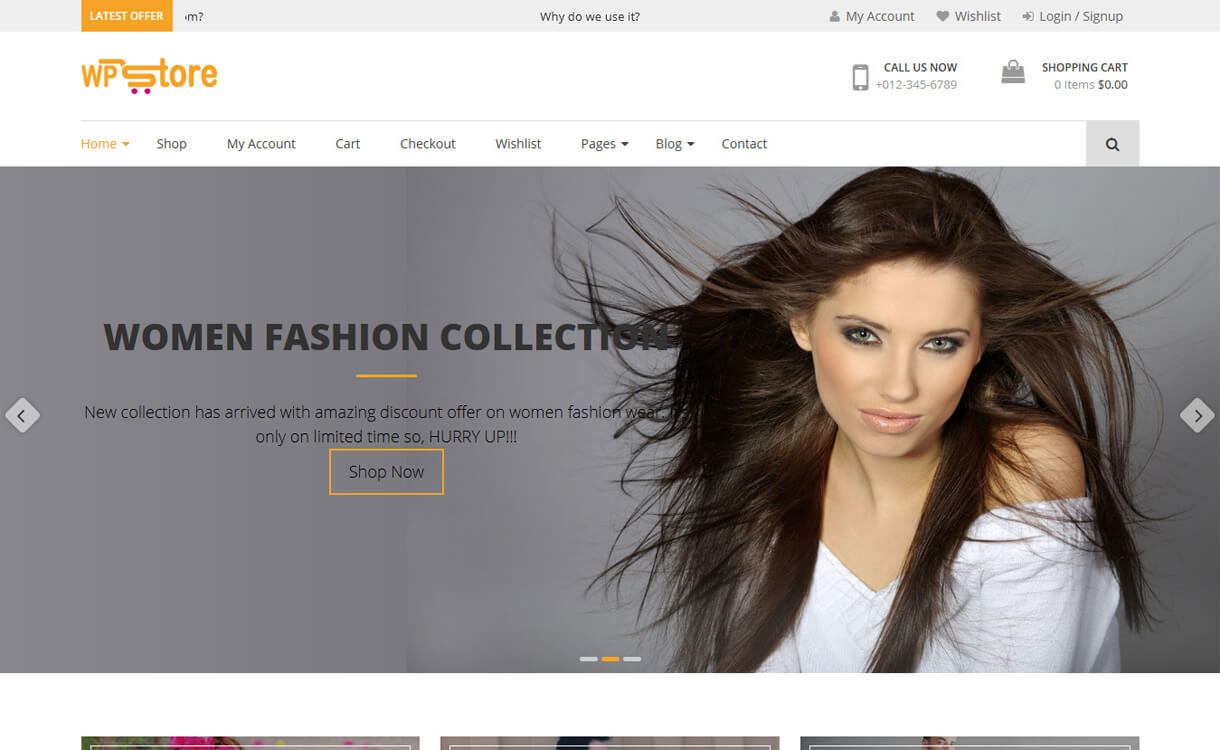 10+ migliori temi gratuiti per eCommerce/Negozio online/WooCommerce per WordPress per il 2022 WP Store Free WordPress WooCommerce Theme