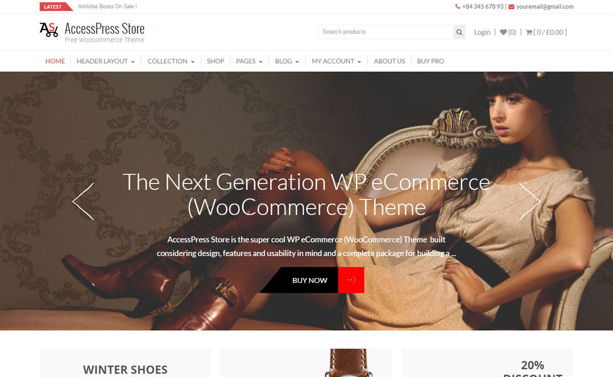 10+ migliori temi gratuiti per eCommerce/Negozio online/WooCommerce per WordPress per il 2022 AccessPress Store - Best Free WordPress eCommerce/Online Store/WooCommerce Themes