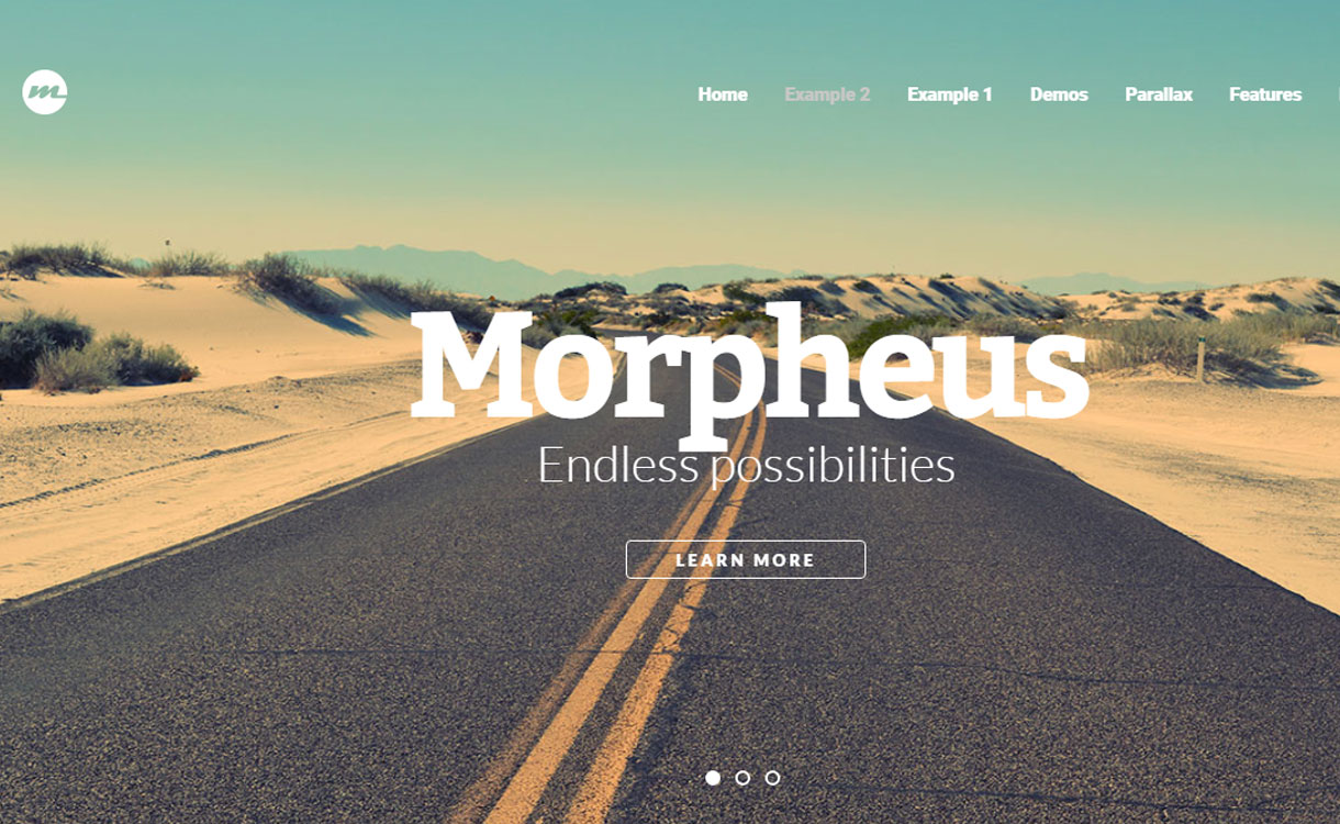15+ migliori temi premium per una pagina WordPress 2022 Morpheus - Best Premium WordPress One-Page Themes 2017