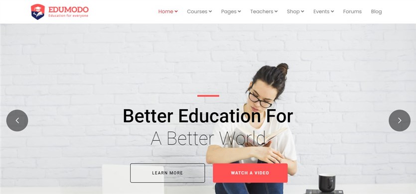 Edumodo-教師のためのテーマ-家庭教師-ワードプレス