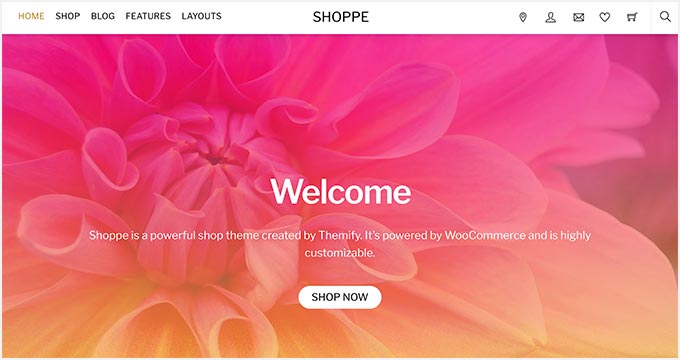 专柜 Shoppe