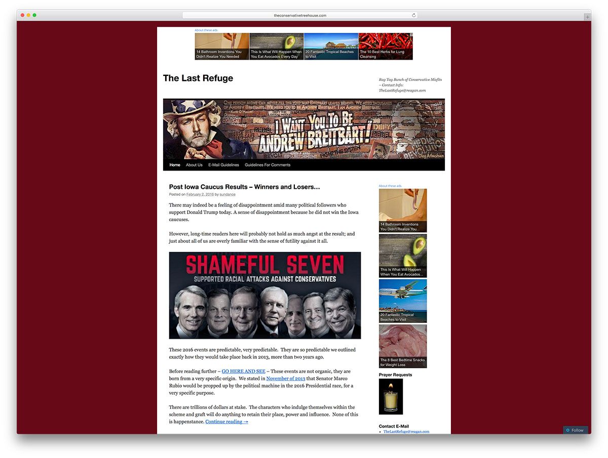theconservativetreehouse-political-wordpress-blog