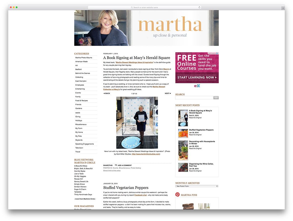themarthablog-book-author-blog-with-wordpress