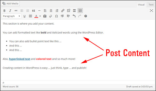 Seção de edição de posts do WordPress Post Editing Section