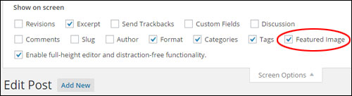 Editor de postagem do WordPress - Seção de opções de tela WordPress Post Editor - Screen Options Area