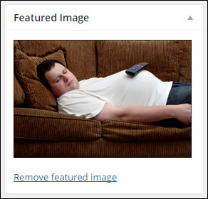 Imagem em destaque de postagem do WordPress WordPress Post Featured Image