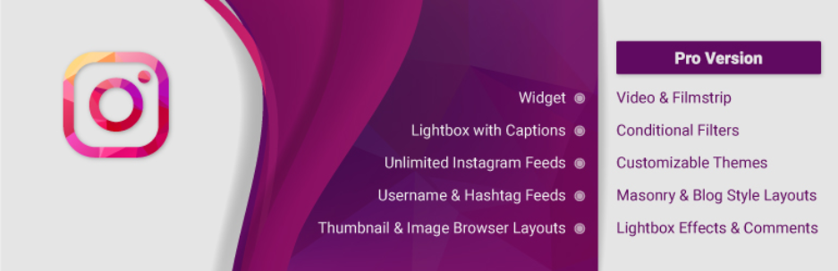 I 5 migliori plugin gratuiti per WordPress per feed Instagram Instagram Feed WD - Free WordPress Plugin