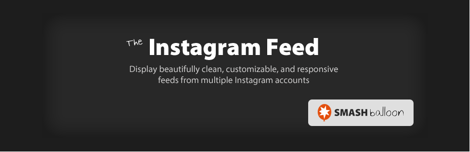 I 5 migliori plugin gratuiti per WordPress per feed Instagram Instagram Feed - Free WordPress Plugin