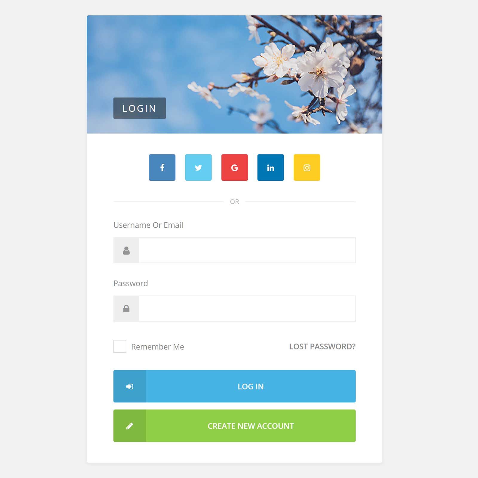 Youzify 登錄頁面