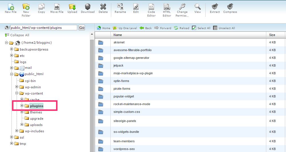 cartella dei plugin.