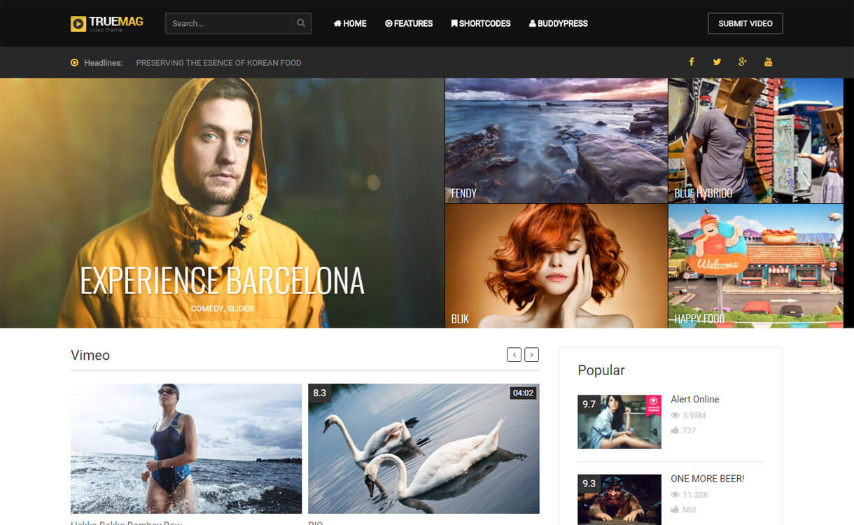 15+ migliori temi video WordPress reattivi 2022 Best WordPress Video Theme