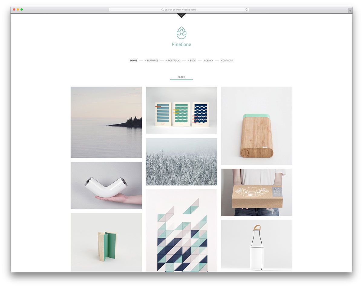 pinecone-minimal-portfolio-website-template