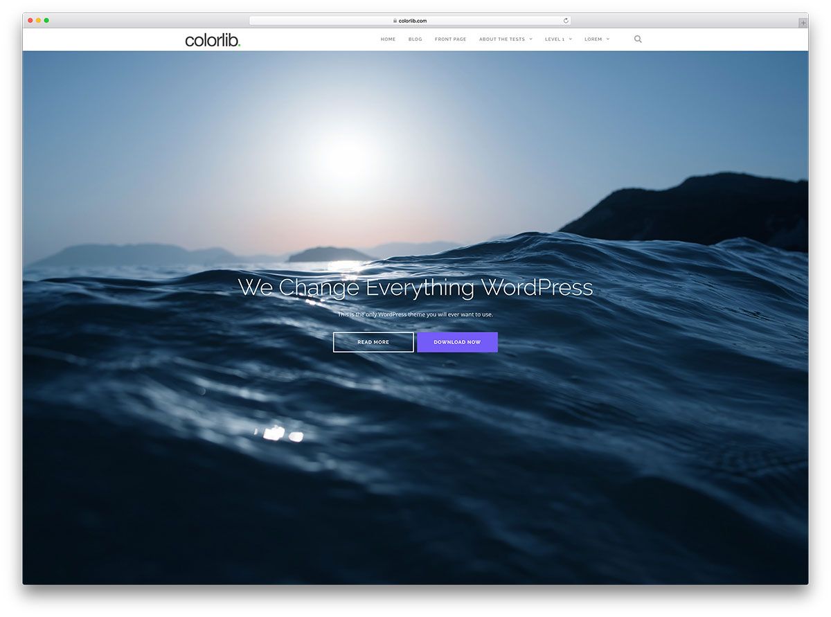 tema wordpress multiuso a schermo intero shapely-freee