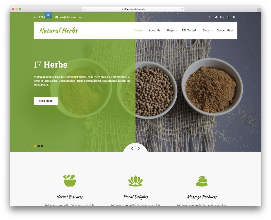 erbe naturali lite tema wordpress gratuito