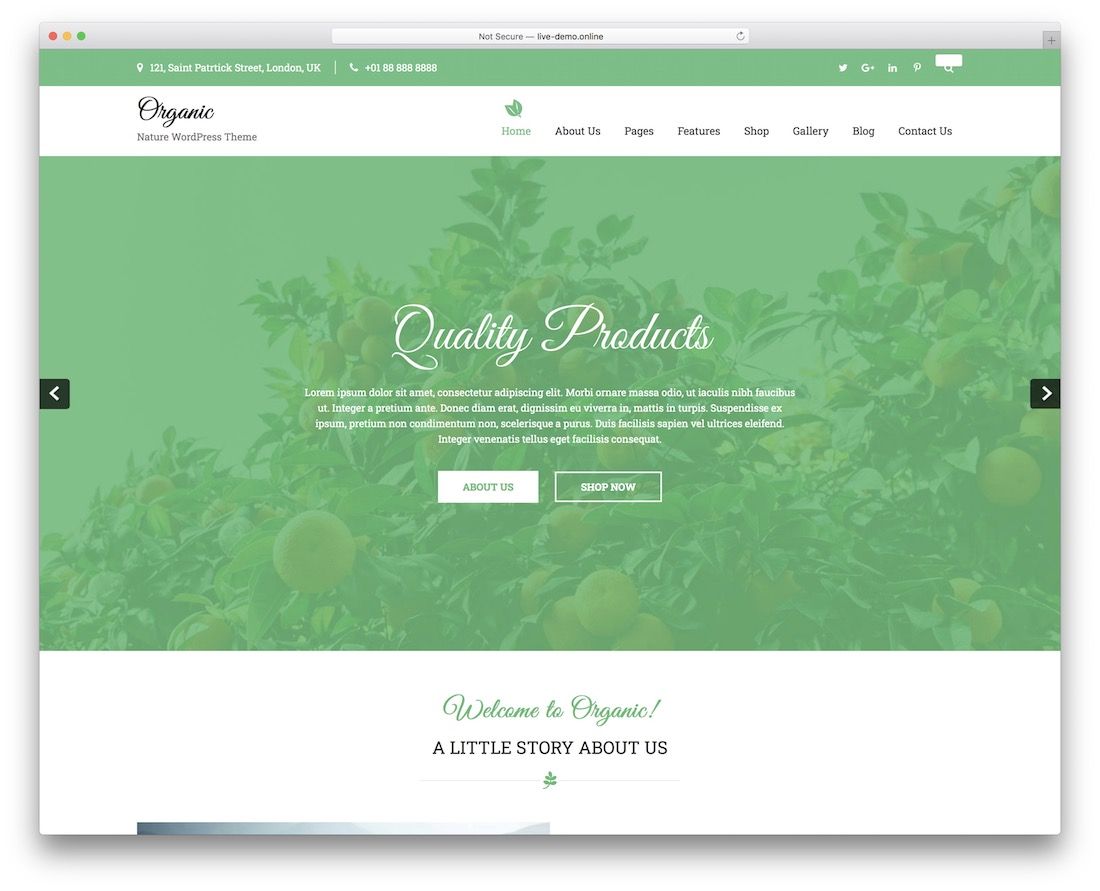 tema wordpress natura libera lite organica