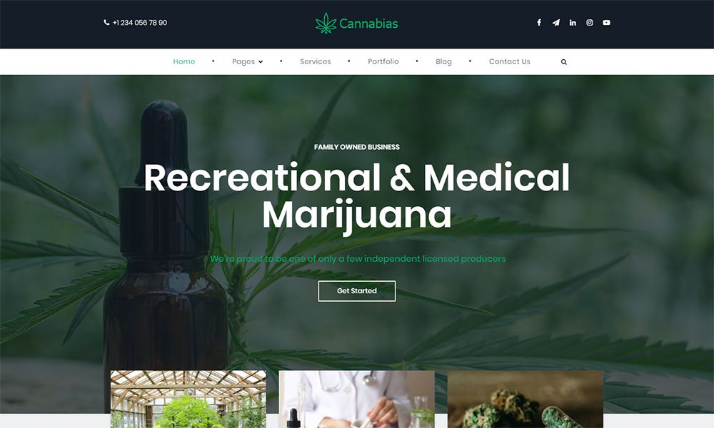 Cannabias 医用大麻业务 WordPress 主题