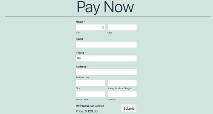 贝宝付款表格预览 PayPal Payments Form Preview