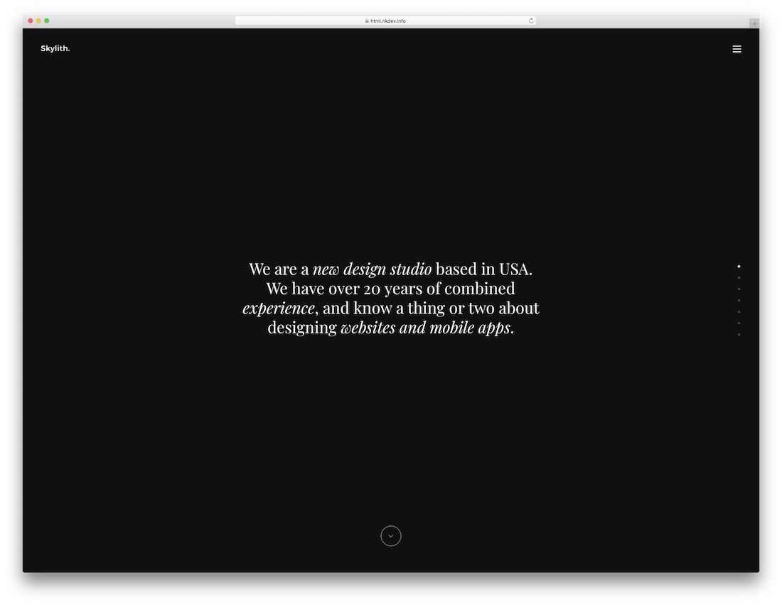 templat situs web layar penuh skylith