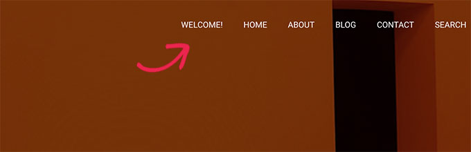 testo personalizzato nel menu di navigazione custom text in navigation menu