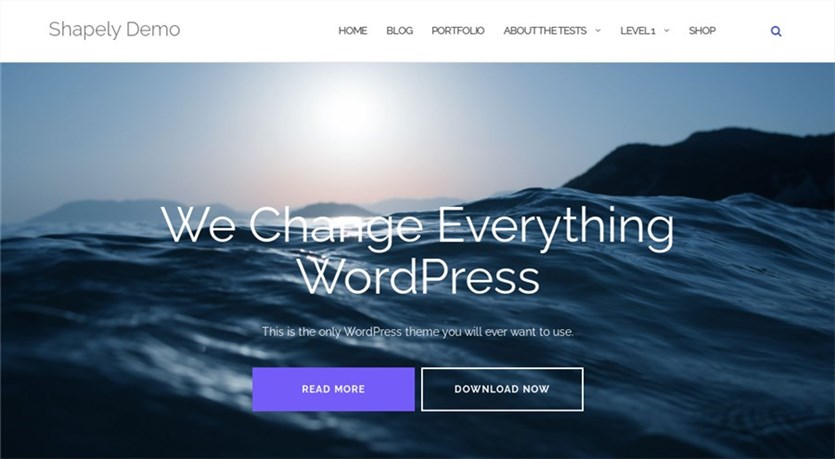 Shapely Лучшая тема для начинающих WordPress