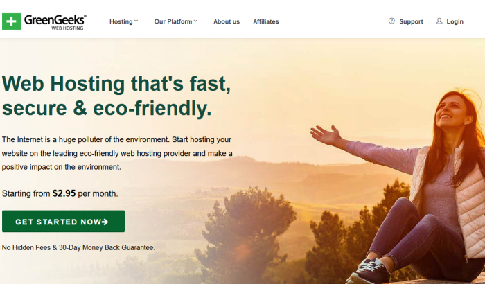 가장 저렴한 웹 호스팅을 위한 GreenGeeks 홈페이지