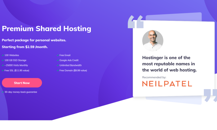 Hostinger NP는 최고의 웹 호스팅을 위한 스플래시 페이지를 제공합니다.