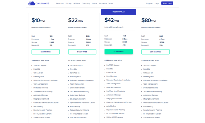 최고의 WordPress 웹 호스팅에 대한 Cloudways 가격