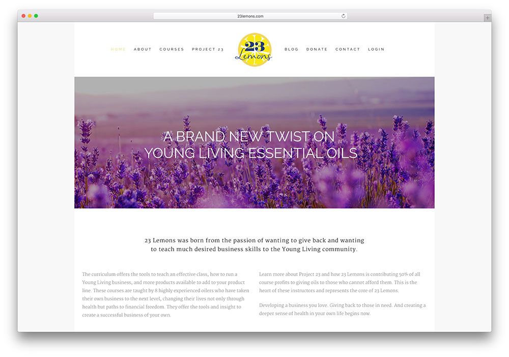 23lemons-small-business-site-bridge-example
