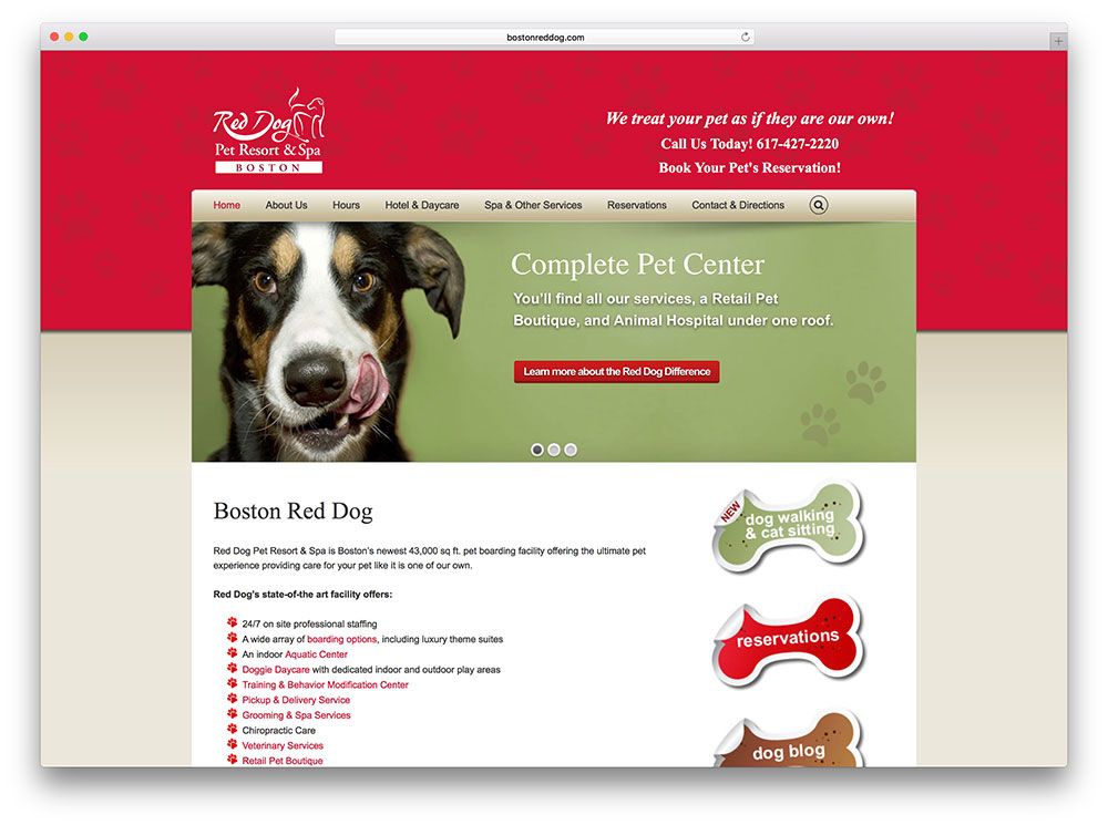 bostonreddog-dog-spa 基于 Avada
