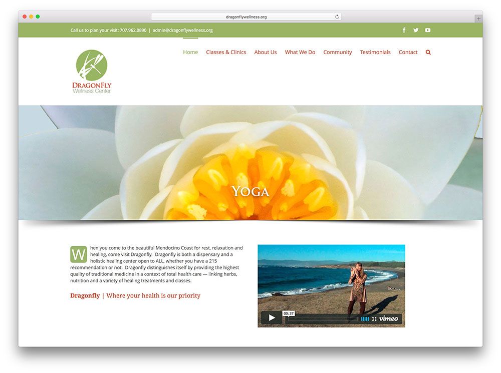 Dragonflywellness-spa-avada-网站示例