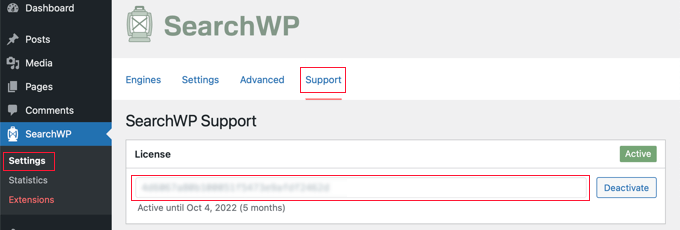 Cole sua chave de licença do SearchWP