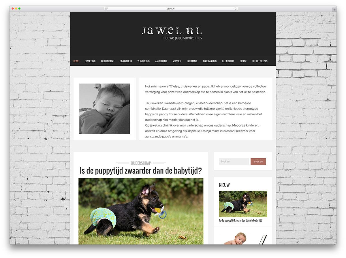 jawel-personal-idea-blog-con-wordpress