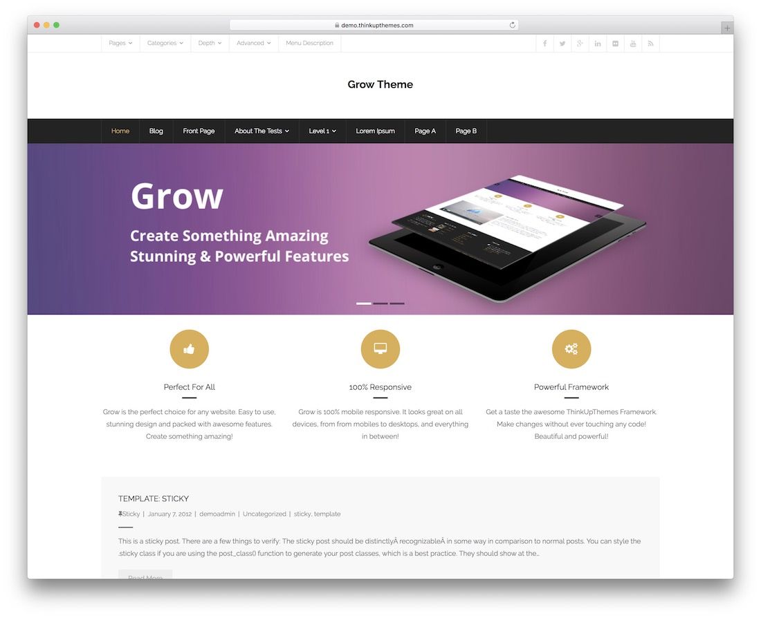 무료 WordPress 테마 성장