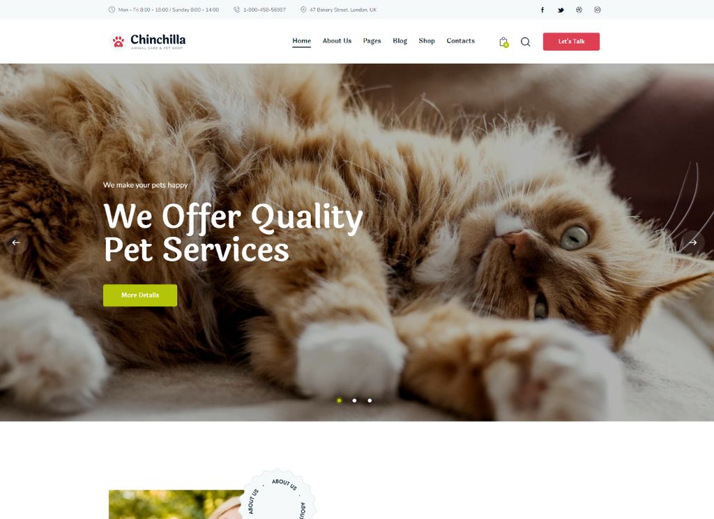Chinchilla | Tema WordPress pentru îngrijirea animalelor și magazinul de animale de companie